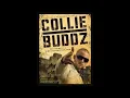 Collie buddz - I'm blind to you