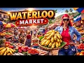 Chaos and Commerce - Inside Waterloo Market s Daily Struggles Vlog 2025