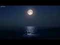 Sleep Music for 8 Hours • Ocean Waves, Fall Asleep Fast, Relaxing Music, Sleeping Music #138