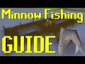 OSRS Minnow Fishing Guide