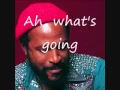 Lagu Whats Going On By Marvin Gaye - With Lyrics