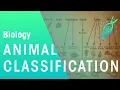 Animal Classification Evolution Biology FuseSchool