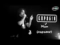 Скрябін мам (караоке)...