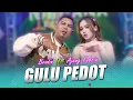BRODIN FEAT AJENG FEBRIA - GULU PEDOT