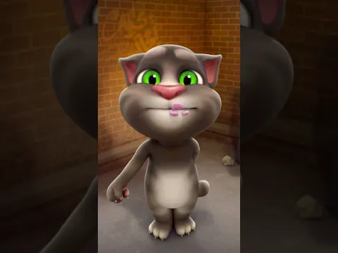 My Talking Tom the cat