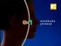 Download Lagu Iklan Verile 2004 (Global TV)