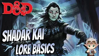 D D basics Shadar Kai 5e
