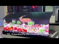 Download Lagu TCL World First Foldable OLED TV - New TV Innovation