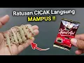 Download Lagu KENAPA TIDAK DARI DULU‼️Padahal banyak yang butuh cara ini