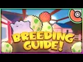 Best Breeding Guide in Pokemon Brick Bronze