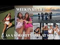 SORORITY WORK WEEK AT SDSU year 2 greek life at sdsu moving into my first apartment