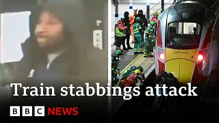 Cambridgeshire Train Stabbing Suspect Remanded In Custody Over Attack BBC News 