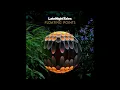 SARAH DAVACHI - 01 Untitled, Live In Portland