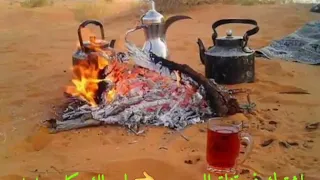 احمد عزيز  الكلب طالب سلامك دندنها