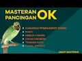 Download Lagu MASTERAN CUCAK IJO FULL isian menaikkan emosi. BEMBANGKIT EMOSI DAN BIRAHI. BIKIN IJO LAIN GACOR