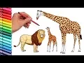 How to Draw Wild African Animals Elephant Lion Giraffe Color Pages for Childrens