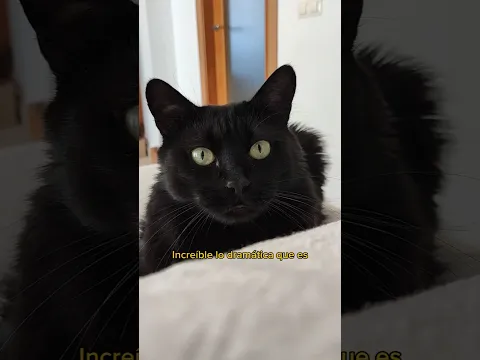 Mi Karen está pasando por un momento muy difícil