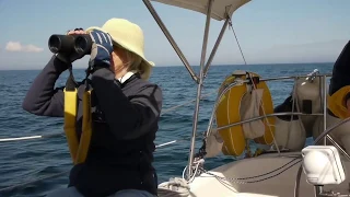 Down East Circle Part 5 – Chapter 1