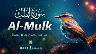 Download Surah Al-Mulk Recitation by Makkah tv| MP3