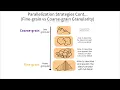 What is Granularity Types of Granularities in Parallel and Distributed Computing
