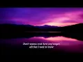 Niklas Dee (feat. René Miller) - Around The World (lyrics)