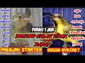 Download Lagu suara pikat burung kecil kombinasi prenjak satarter dan cecretan sogon ampuh pikat burung liar a30