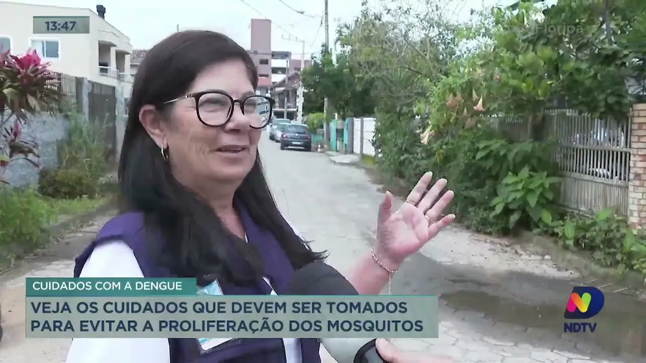 Confira dicas para evitar a proliferação do mosquito da dengue em casa