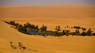 Misteri Oasis Terindah di Tengah Gurun Pasir yang Mematikan