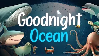Download Goodnight Ocean  🌊 THE ULTIMATE Calming Bedtime Stories for Babies and Toddlers with Relaxing Music MP3