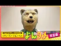 Lagu MAN WITH A MISSIONのよんタメ　完全版