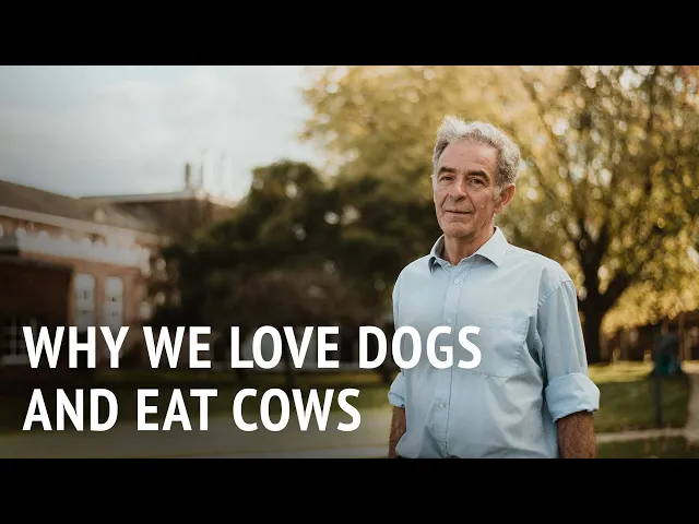 Why We Love Dogs and Eat Cows |  Dr Murray Corke