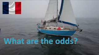 Surprise in the fog Ep 67
