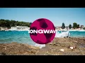 Besomorph & Meric Again - I Will Survive