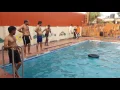 Download Lagu funny swiming see thise video