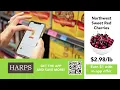 HARPS 0703 AD