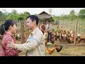 Lagu De \u0026 Huyen Replan Their Farm | Preparing a New Season \u0026 Raising 1,000 Chickens