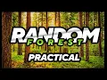 Random Forest Practical Example Random Forest Algorithm - Random Forest Explained Digitaldaru