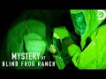 The RISKIEST Expeditions Mystery at Blind Frog Ranch Discovery
