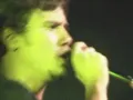 Planta E Raiz - Tô No Barato (Ao Vivo Em São Paulo / 2005)