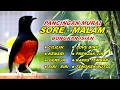 Lagu 🔴 LIVE 15 - Pancingan Murai Batu Pagi hari Full Isian Tembakan kasar Murai Diam Pasti Nyaut