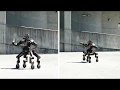 Video di The Centauro