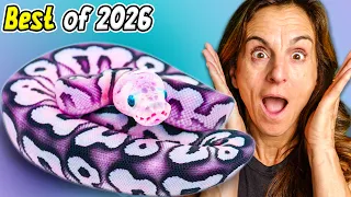 The BEST Baby Snakes We Hatched in 2026!