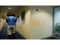 This is UCLA Mascot Distractions