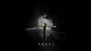 حالات واتس عصام صاصا لم قلبي اختارك انتي 