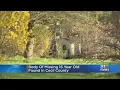 Body of missing 16-year-old found in Cecil County