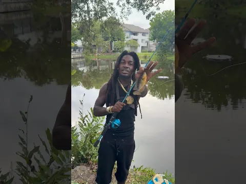 Tips using A Live Bait for Spillway fishing #fishing #tips #shortvideo #shorts
