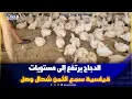 Download Lagu الدجاج يرتفع إلى مستويات أعلى شوفو شحال وصل ثمن