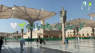 غالي غالي غالي يارسول الله 