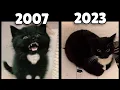 evolution of Maxwell the Cat