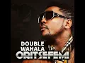 Double Wahala